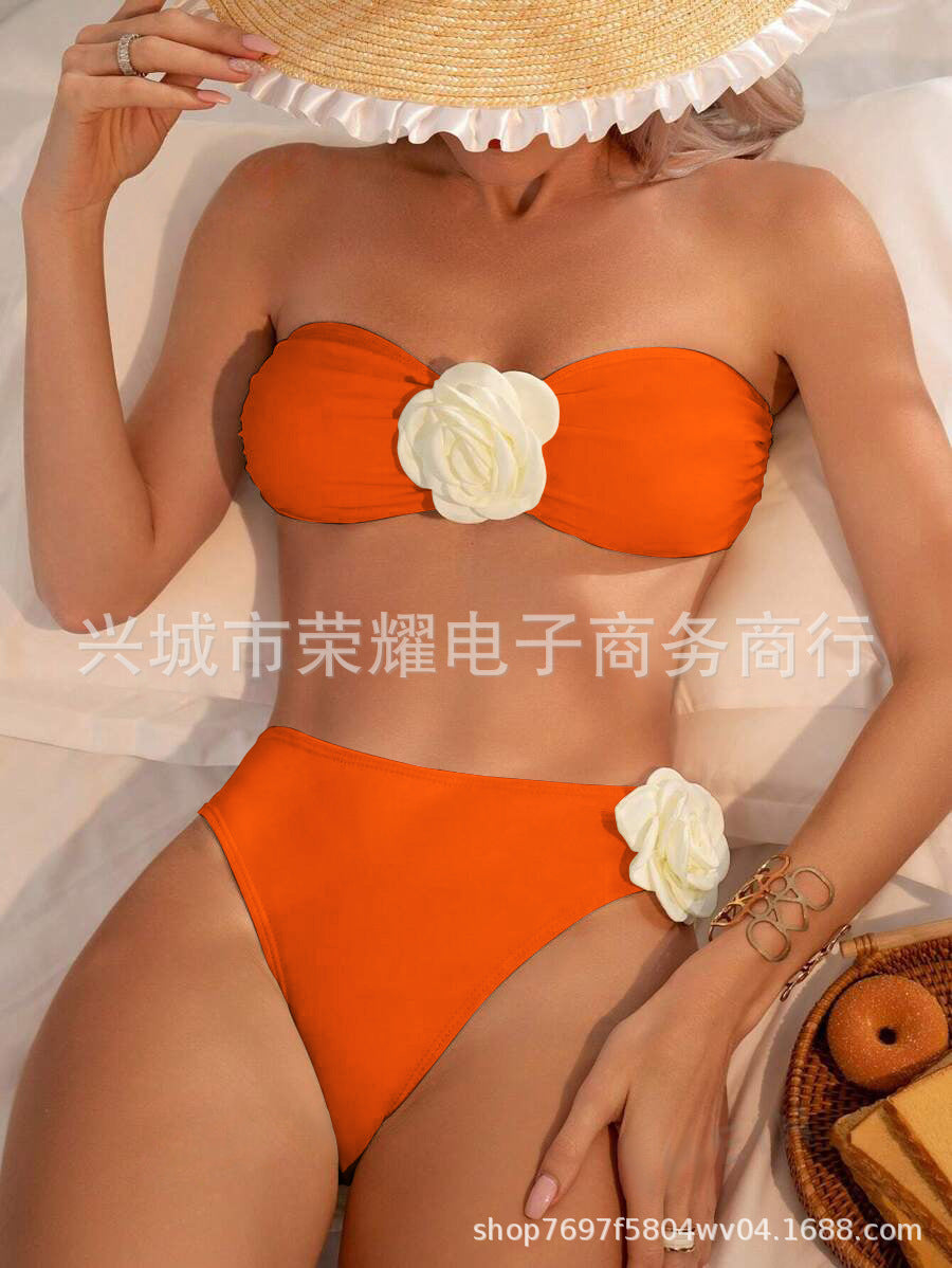 Women's Rose Tube Top Two-Piece Bikini Set