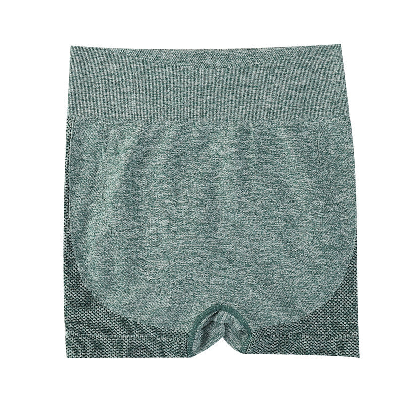 Women's High-Waist Seamless Biker Shorts | Quick-Dry, 8 Colors